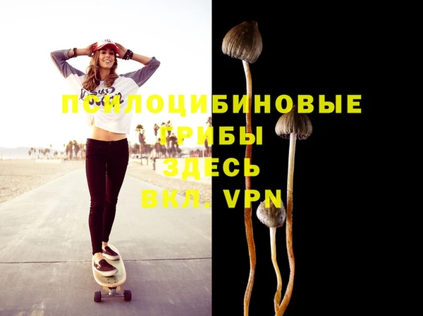 дурь Нягань