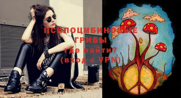 дурь Нягань