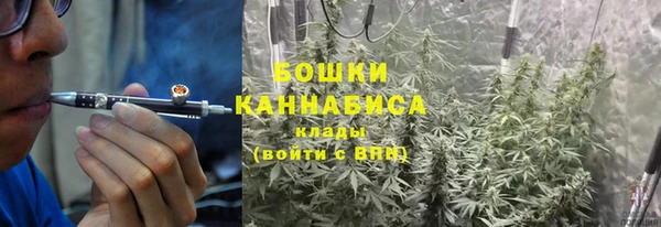 дурь Нягань