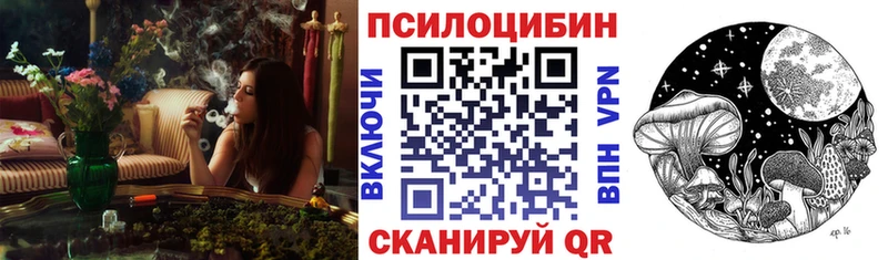 наркошоп  Ступино  Псилоцибиновые грибы прущие грибы 