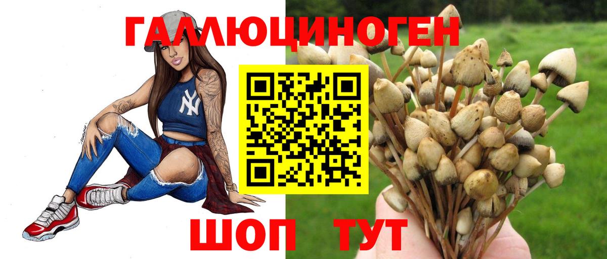 Псилоцибиновые грибы Psilocybine cubensis Ступино