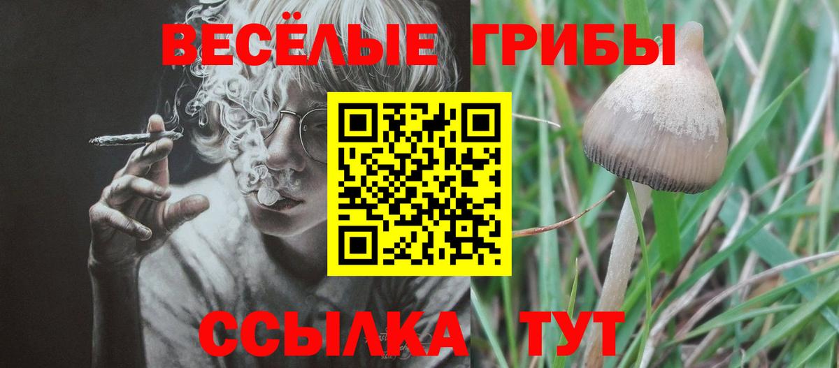 Псилоцибиновые грибы GOLDEN TEACHER Ступино