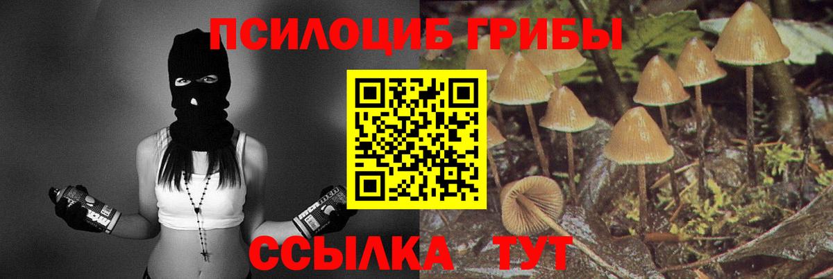 Псилоцибиновые грибы мицелий  наркотики  Ступино 
