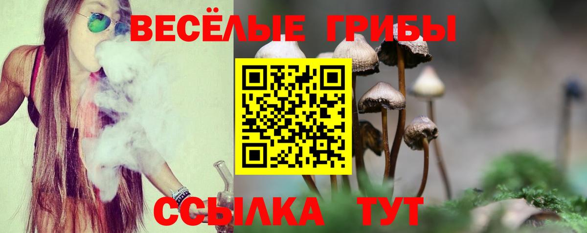 Псилоцибиновые грибы ЛСД  Вход с VPN  Ступино 